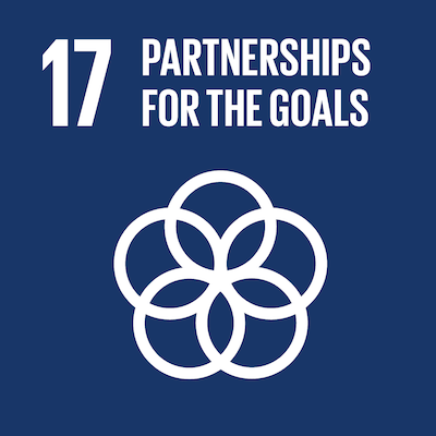 Goal 17 Partnerships for the goals