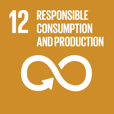 RESPONSIBLE CONSUMPTION AND PRODUCTION - GOAL 12
